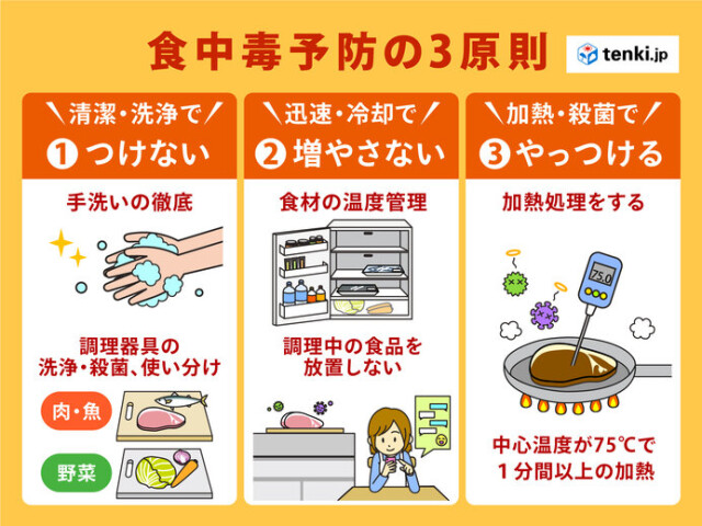 画像B