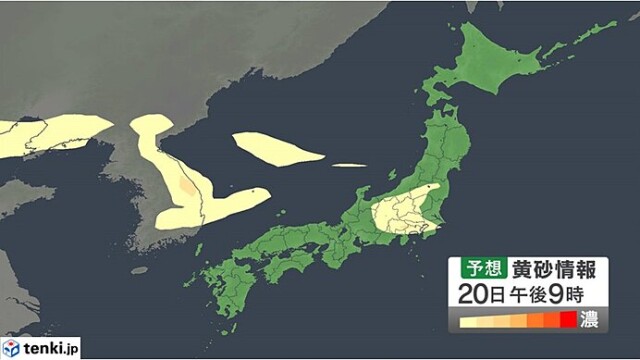 画像C