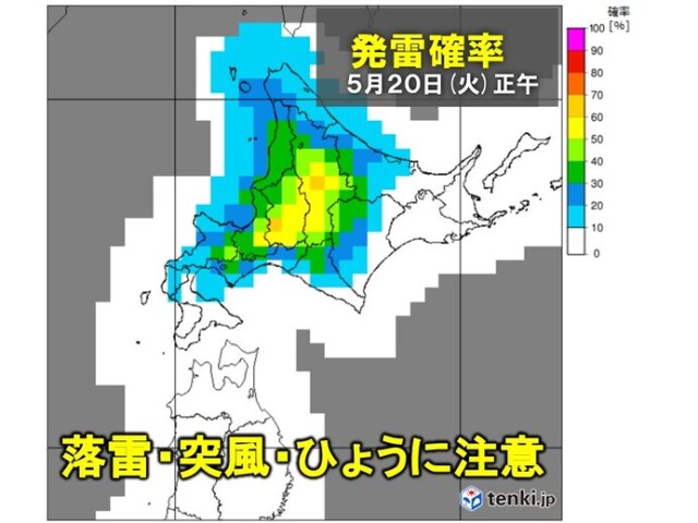 画像D