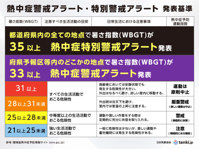 画像B