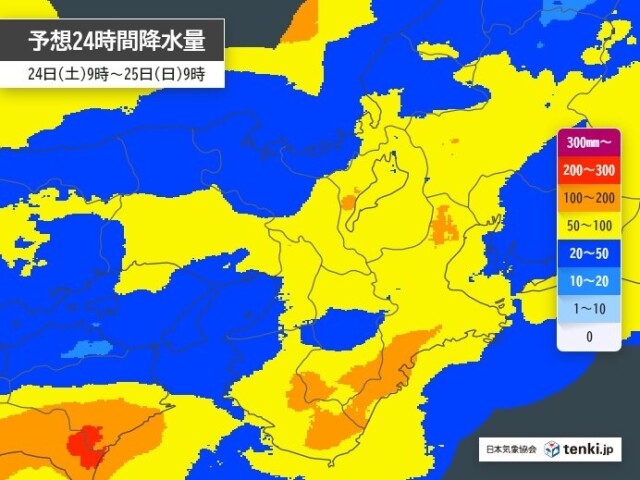 画像B