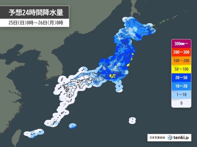 画像B