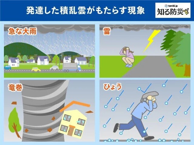 画像D