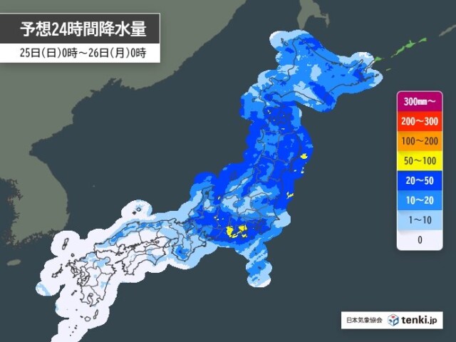 画像B