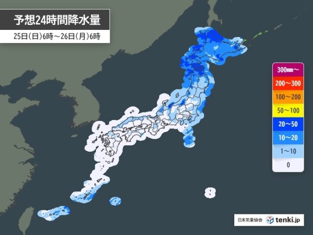 画像B