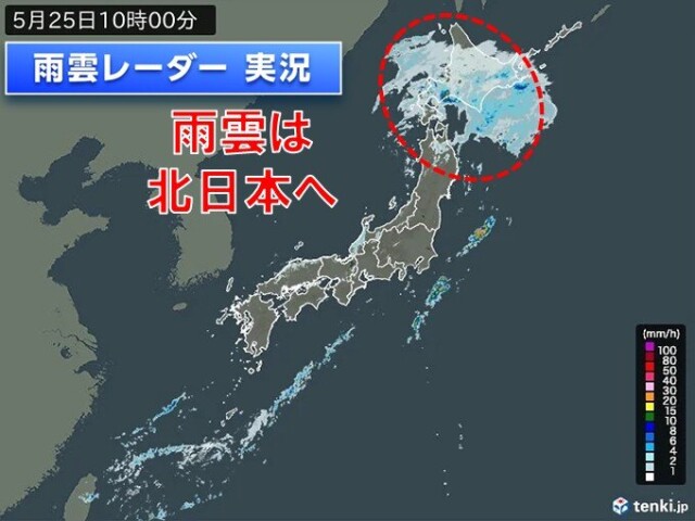 画像B