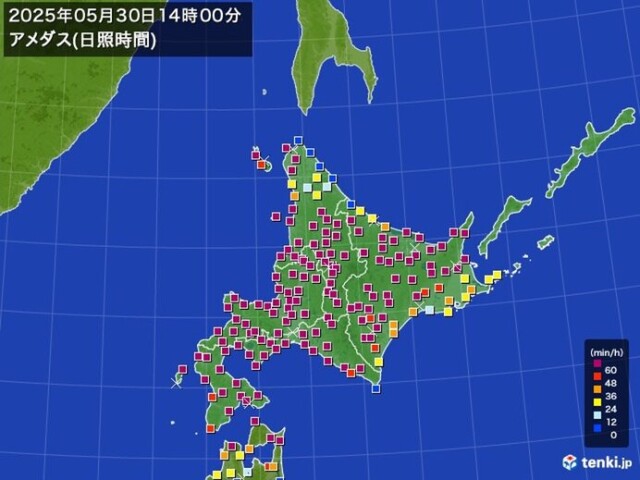 画像B