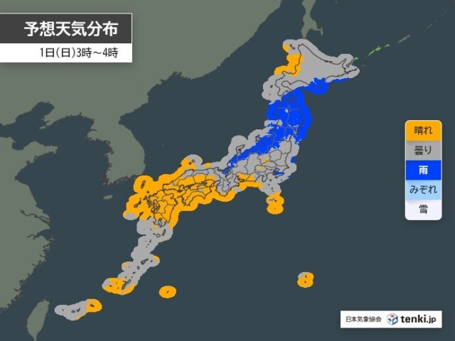 画像D