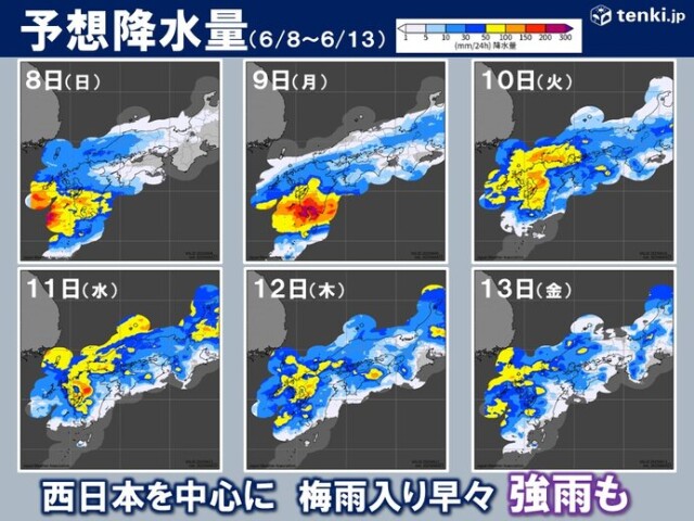 画像B