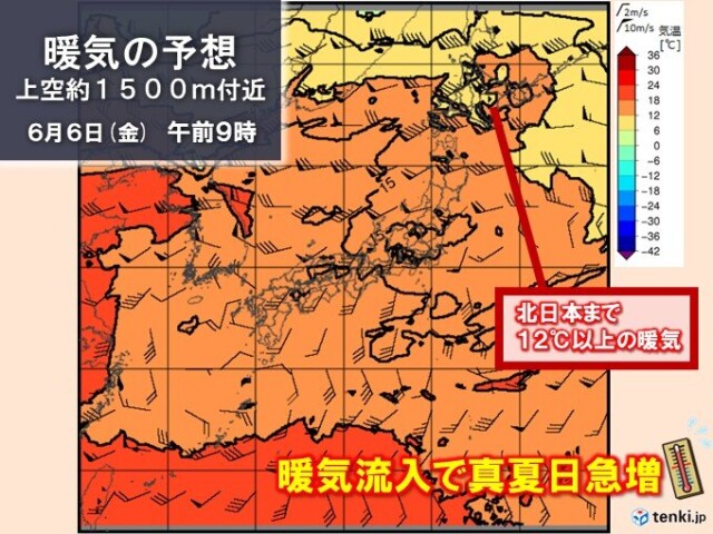 画像B