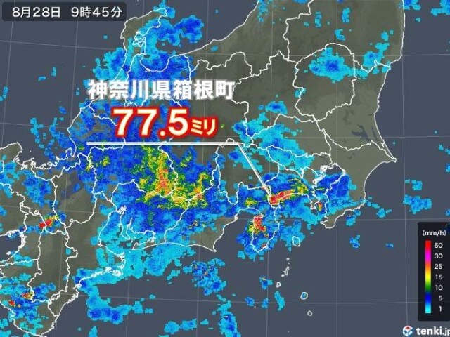 関東 東海でも滝のような雨 29日まで大雨警戒 コラム 緑のgoo