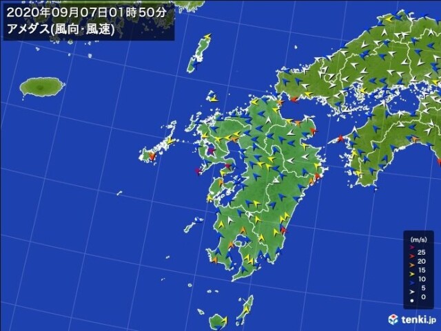 台風10号 長崎県で最大瞬間風速50メートル超え コラム 緑のgoo