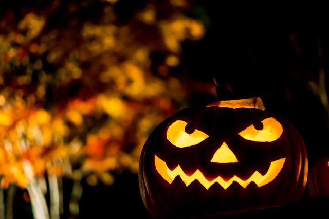 ハロウィンイベントに親子で参加しよう 東京 埼玉編 レジャー特集 18 コラム 緑のgoo ハロウィンイベントに親子で参加しよう 東京 埼玉編 レジャー特集 18 コラム 緑のgoo