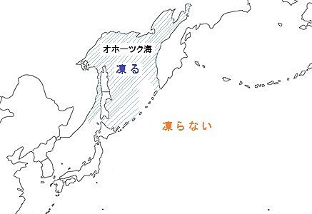 北海道で流氷を見ることができる奇跡 それはオホーツク海の環境の