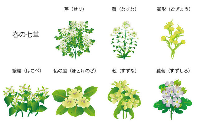 七種粥で無病息災な一年を 1月7日の歳時記 コラム 緑のgoo 七種粥で無病息災な一年を 1月7日の歳時記 コラム 緑のgoo