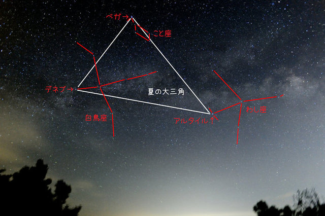 夜空に輝く 夏の大三角 の見つけ方とは 6月22日は夏至も コラム 緑のgoo