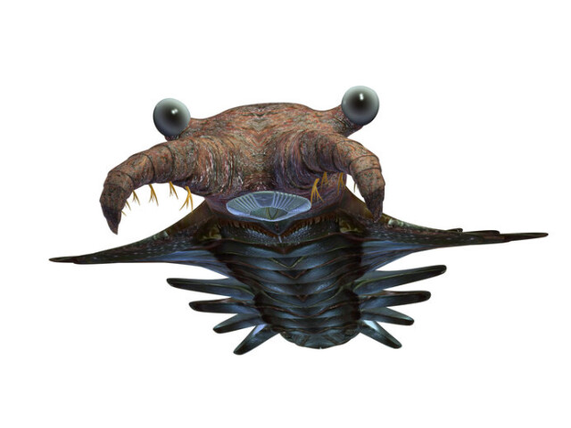 地層のページに刻印された奇妙奇天烈な生物たち カンブリアン モンスター とは コラム 緑のgoo