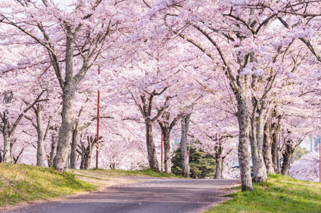 https www goo ne jp green column tenkijp 29761 html