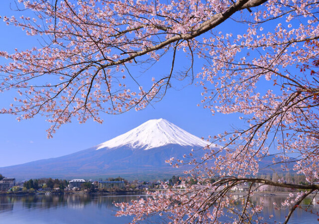甲信エリアの桜名所 密を避けて21年のサクラを楽しもう コラム 緑のgoo