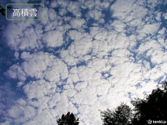 十種雲形 雲は全部で10種類 見分け方を形や高さから解説 中層雲編 コラム 緑のgoo