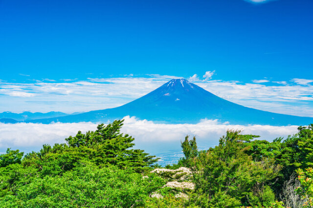 夏しか登れない富士山に挑戦してみよう