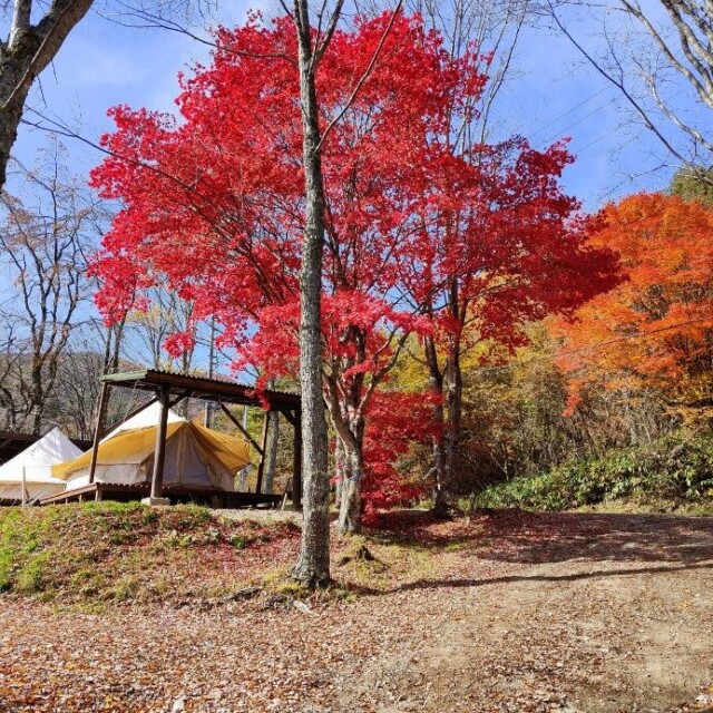 ※写真はイメージです