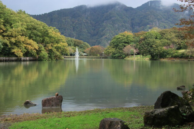 ※写真はイメージです
