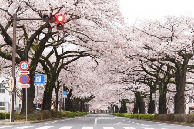 ※写真はイメージです