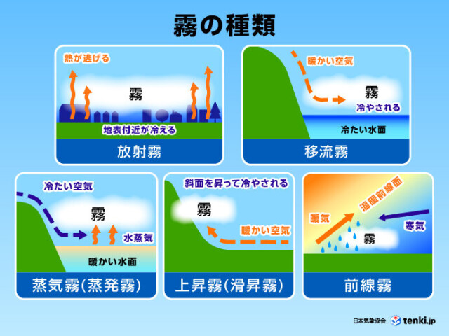 霧の種類