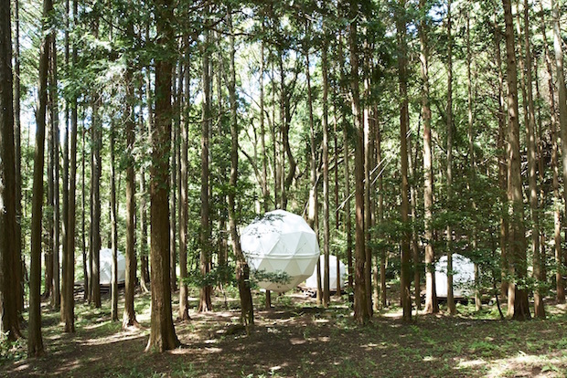 森のなかにテントが浮かぶ〈INN THE PARK〉。静岡に泊まれる公園