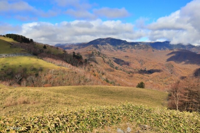 秋の信州 ビーナスラインでドライブと紅葉を楽しむ旅 コラム 緑のgoo