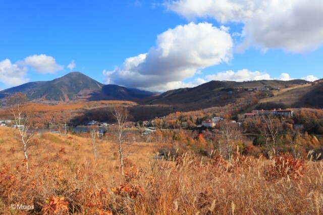 秋の信州 ビーナスラインでドライブと紅葉を楽しむ旅 コラム 緑のgoo