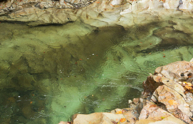 川を流れているのは温泉。小安峡温泉エリアは、一帯に「マグマ溜まり」があるため、どこを掘っても温泉が湧いてくるんだそう。