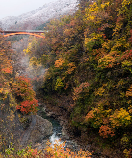 小安峡は紅葉の名所。訪れた11月中旬は雪との共演も見ることができました。