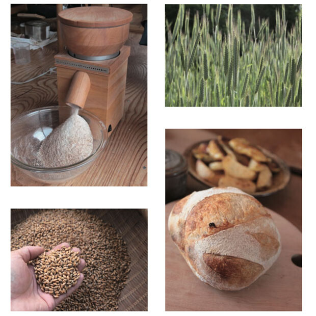 吉澤さんが撮影した写真より。自ら小麦を育て製粉して、薪ストーブでパンを焼く。