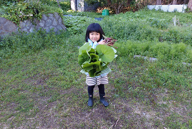 野菜を収穫する娘