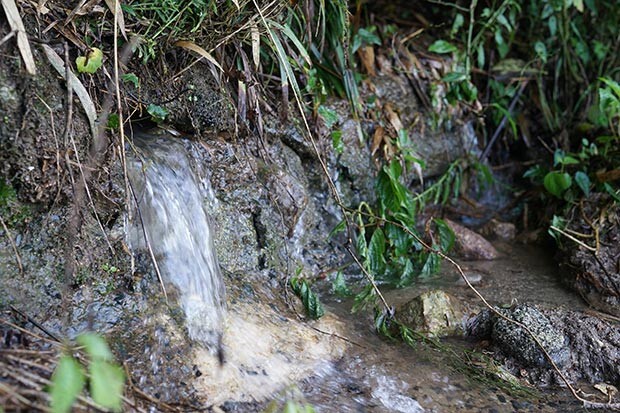 石垣から大量に流れる雨水の写真