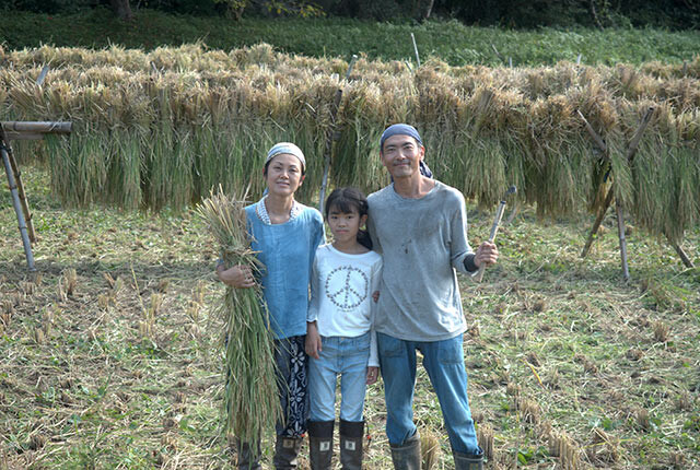 かけられた稲の前で記念撮影する津留崎さん親子