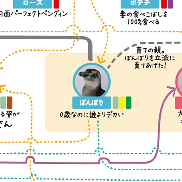 「ペンギン相関図2022」では今年生まれたばかりの「ぼんぼり」にも注目。