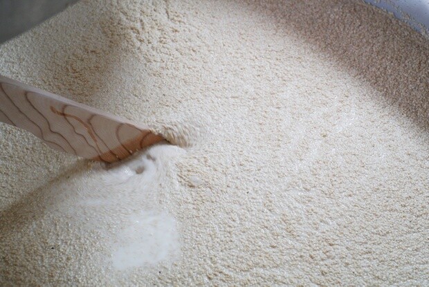 岩手県奥州市の休耕田跡で栽培しているオーガニックライス・エタノールの原料となる有機米。（写真提供：ファーメンステーション）