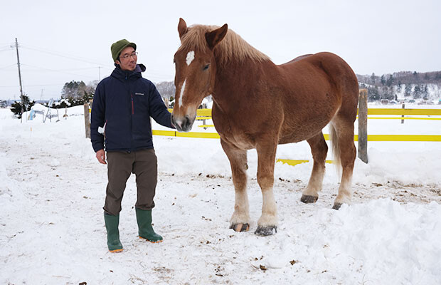 絵に現れたのは、ばん馬。今年の１月に厚真町で馬による林業を行っている西埜将世さんのもとを訪ねたことがきっかけ。