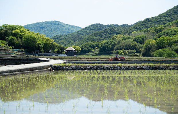 歌舞伎舞台の周囲は美しい田園。蛙子池の水を使っています。