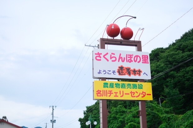 果物狩りができる観光農園も多い南部町。新鮮な野菜や果物の直売所〈名川チェリーセンター〉はさくらんぼが看板の目印になっています。
