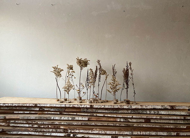 アトリエに置かれた作品「すぐそばにある森」。立ち枯れた植物を集めて制作されている。