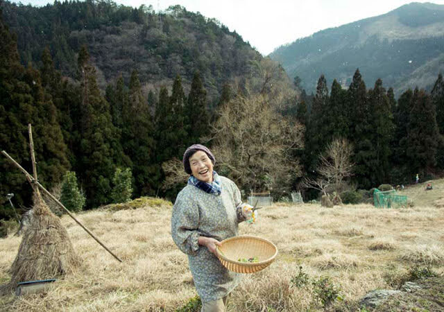 徳島県の祖谷で山菜を摘む都築麗子さん
