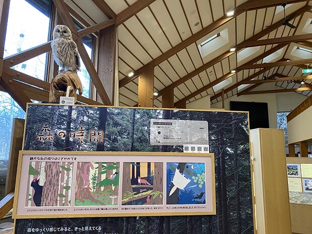 展示は散策路で出合う順番に、アカエゾマツ、イソツツジ、ハイマツ、硫黄山と続く。
