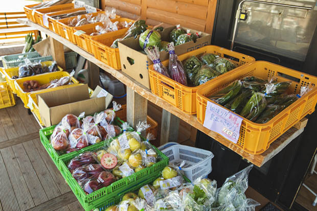 直売所には近隣農家から届く新鮮な野菜や果物が並ぶ。松本の伝統野菜「松本一本ねぎ」や、さまざまな種類のりんごがたくさん。無農薬、減農薬のものにこだわる。