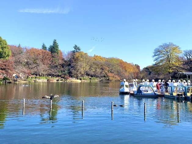 大きな池のある井の頭恩賜公園は、数々の作品に登場。公園内には〈三鷹の森ジブリ美術館〉もあります。