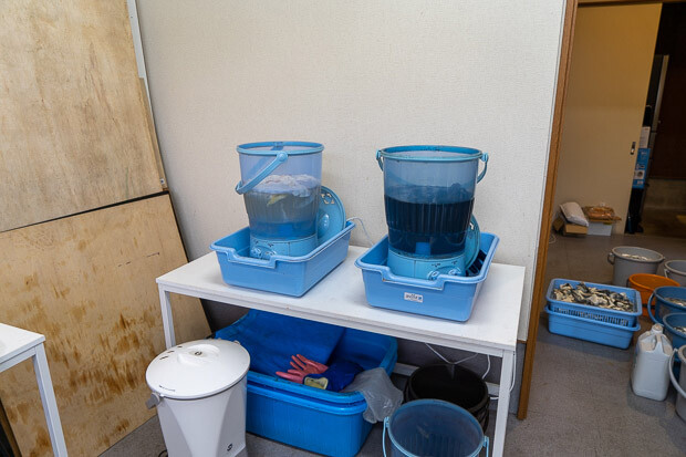 もらってきた魚の皮は、その日のうちに加工プロセスに。