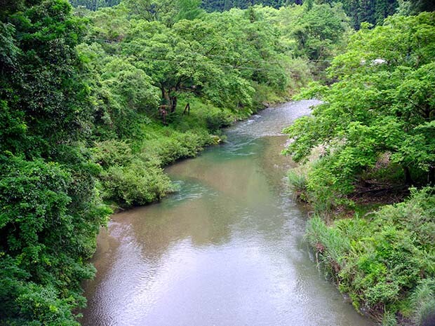 紀美野町を流れる川。夏場には鮎釣りが盛んで、BBQといえばジビエと鮎を焼くこともしばしば。